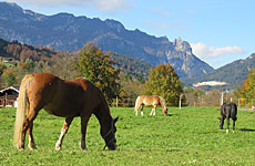 ferienwohnung haus klausner schönau königssee berchtesgaden