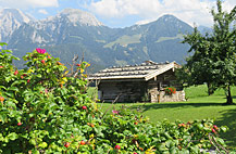 ferienwohnung haus klausner schönau königssee berchtesgaden